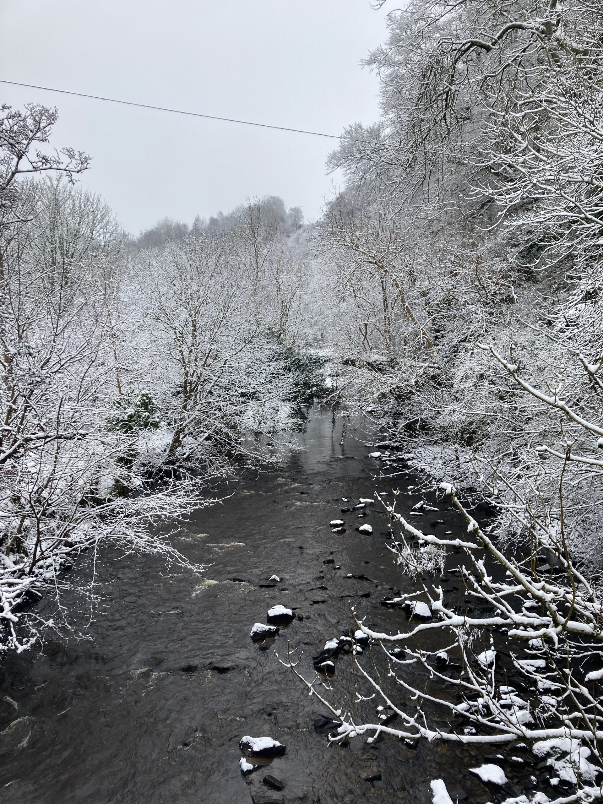 Clyde Valley during winter